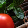 Pomodoro e basilico, la più classica delle bruschette.