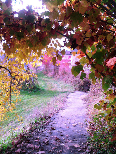 L'autunno è il momento giusto per assaggiare la minestra sbirraglia :)