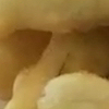 Verdurine in pastella