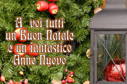 A tutti voi il Ristorantino La Gioi augura un meraviglioso Natale e uno scintillante 2011!