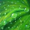 Locandina della mostra 'Acqua e nuvole a primavera'